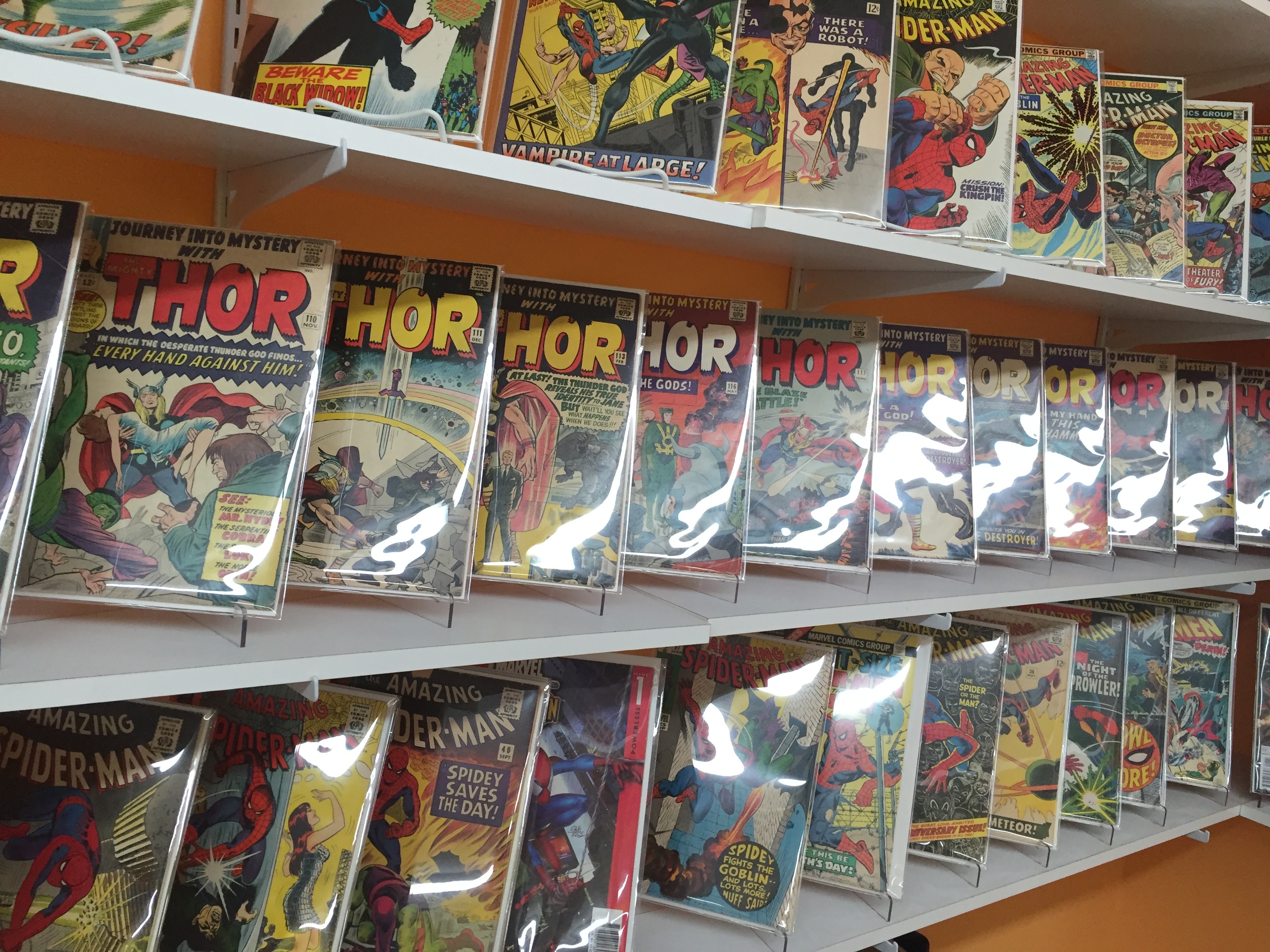 The Back Wall at Mammoth Comics